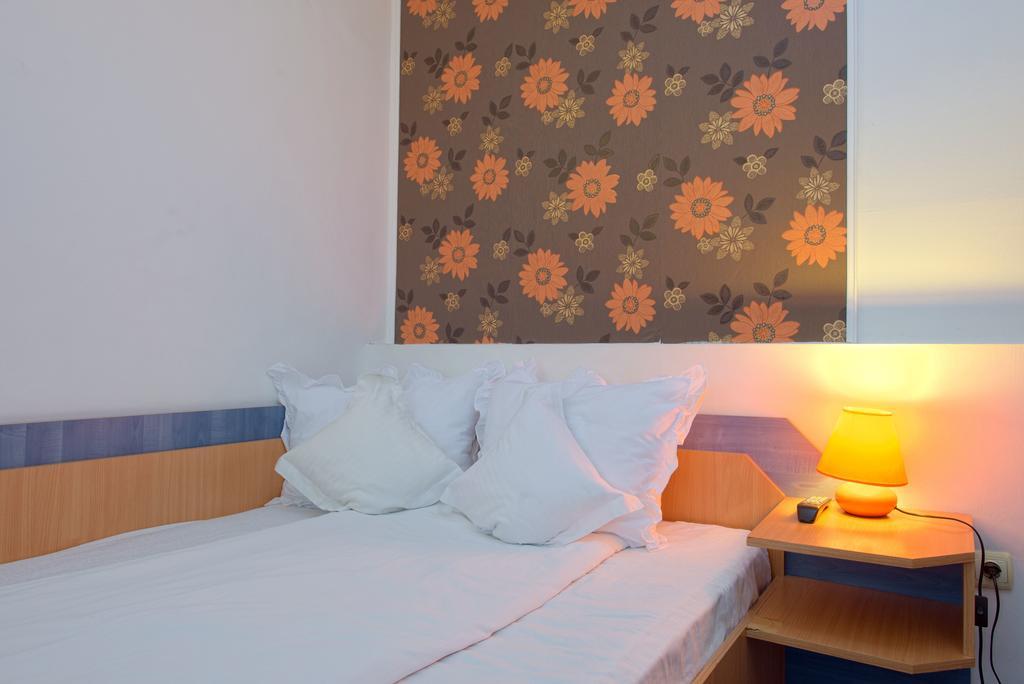 Pensiunea Leo 3* Brasov