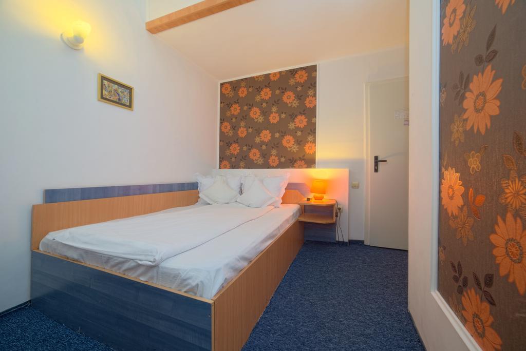 Pensiunea Leo 3* Brasov
