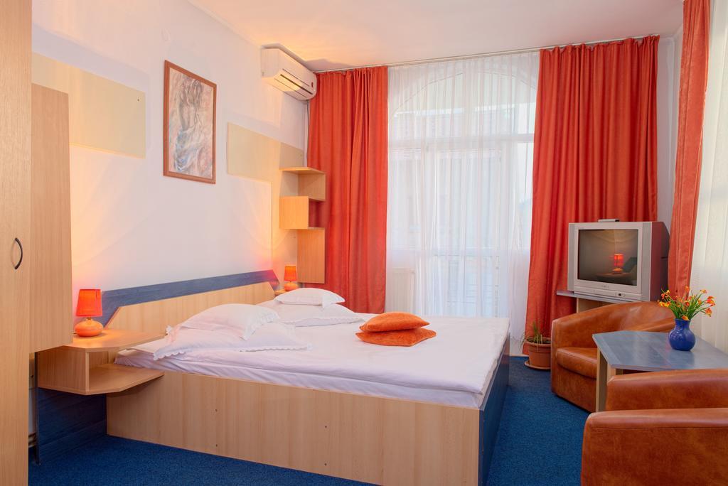 Guest house Pensiunea Leo 3*