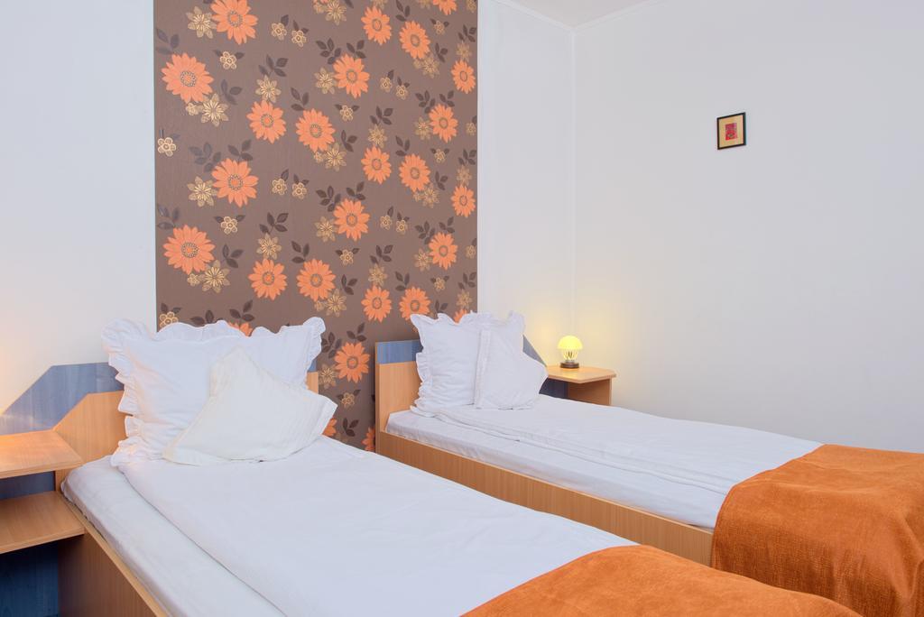 Guest house Pensiunea Leo