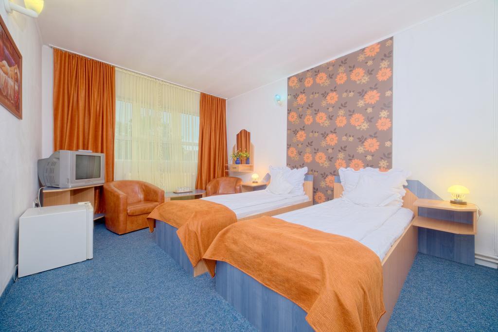 Guest house Pensiunea Leo 3*