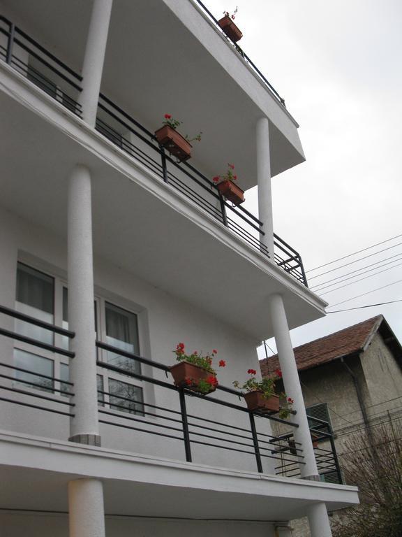 Pensiunea Leo Guest house 3*