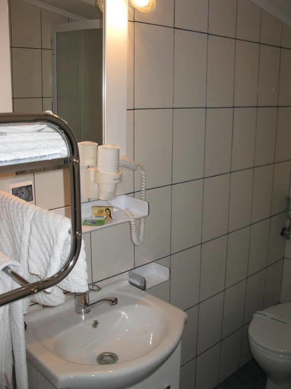 Guest house Pensiunea Leo Brasov