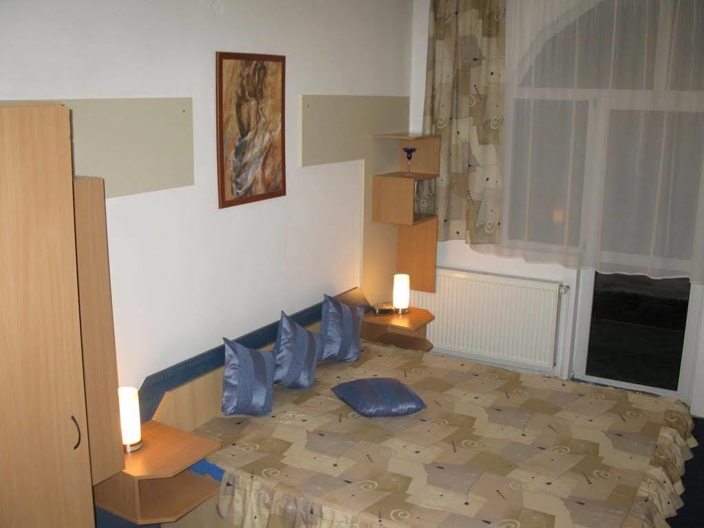 Pensiunea Leo Guest house 3*