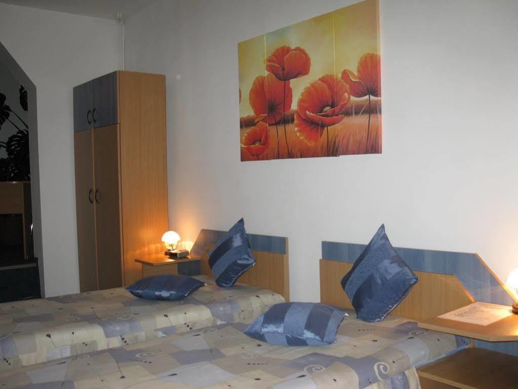Guest house Pensiunea Leo